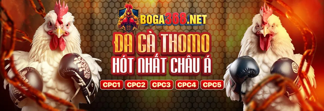 Đội ngũ hỗ trợ khách hàng vn88pro app